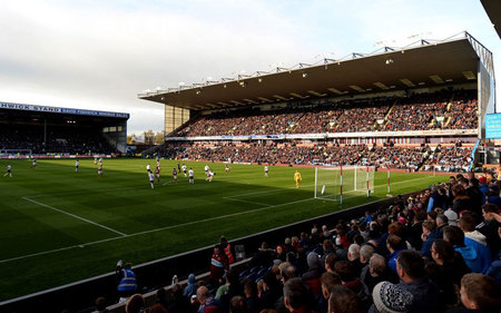 她的一号木 她的一号木